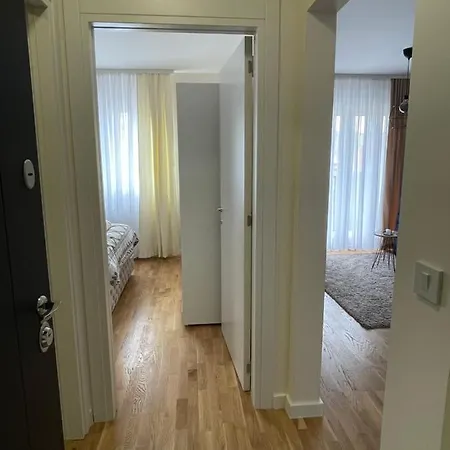 Apartment Cvetanov Trg Lux 2 *